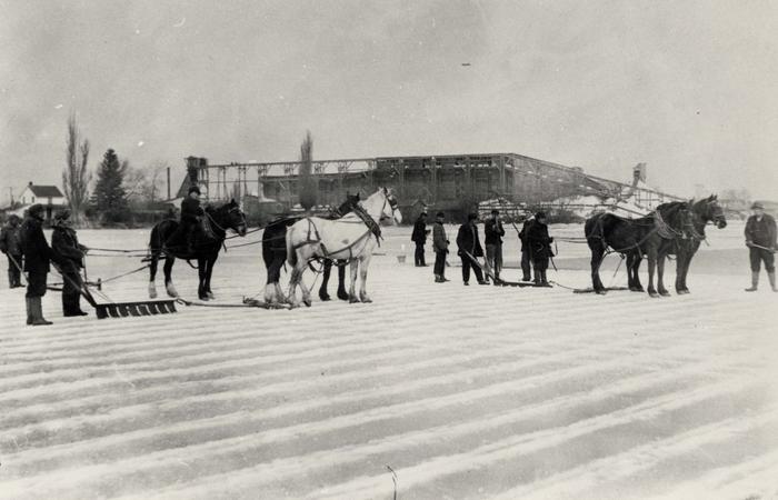 Photo of two teams of horses and several men per team standing on the ice of Lake Simcoe, prepare to cut the ice into blocks for sale. The cut blocks of ice would then be stored in an ice house, which is visible in the background.